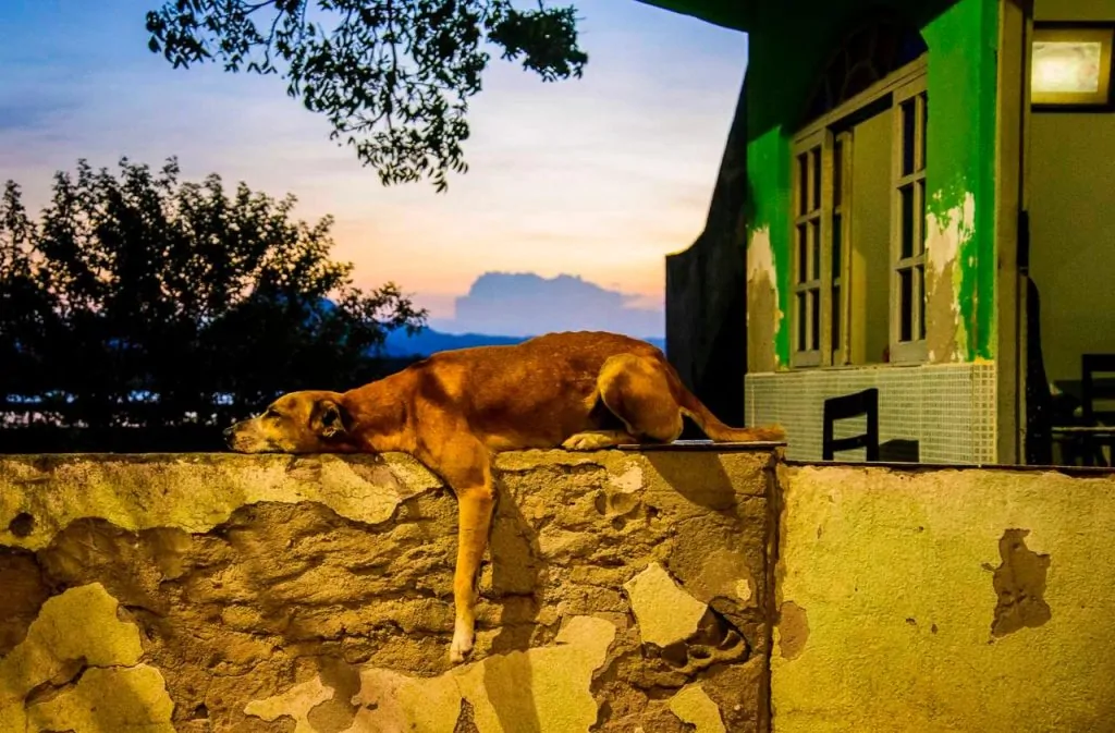 Capixaba leva a fotografia do cotidiano brasileiro para exposição em Barcelona