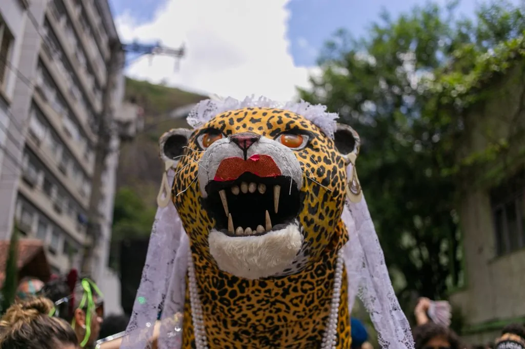 Bloco Amigos da Onça leva festa gratuita ao Centro de Vitória neste sábado