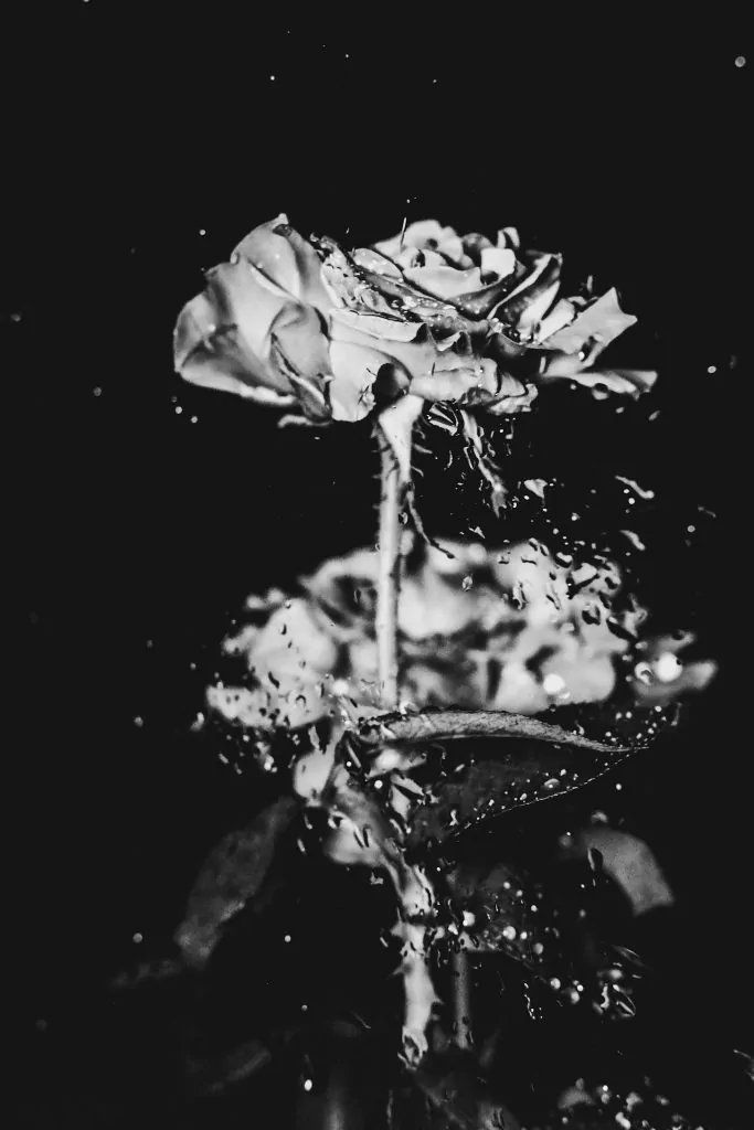 Exposição coletiva de fotografia contemporânea acontece à beira-mar em Iriri