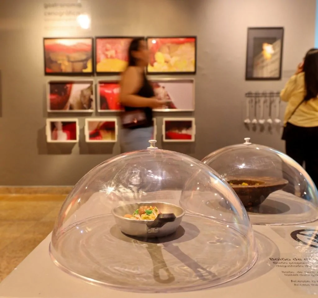 Experiência sensorial e consenso em Museu da Arte e Comer