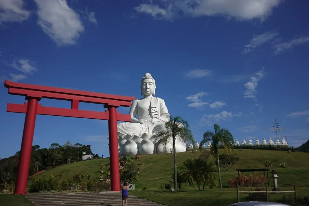 buda ibiraçu