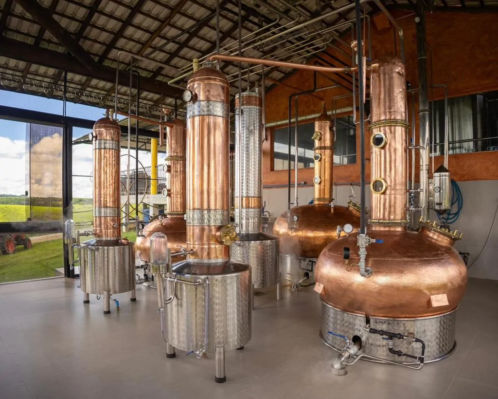 Tributação de bebidas ameaça cachaça artesanal