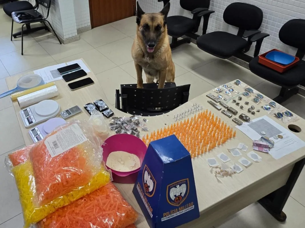 Cão e drogas em cariacica