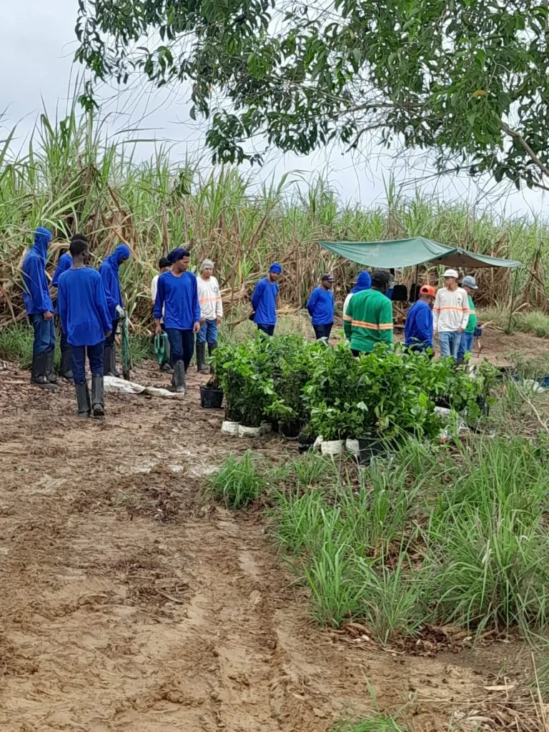 Cooperativismo promove a inclusão e muda a vida de comunidade quilombola no Norte do ES