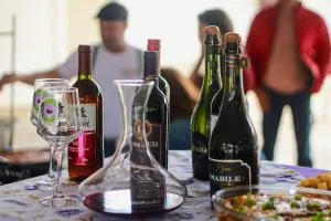 Festa do Vinho e da Uva em Santa Teresa reúne pisa da uva, shows e gastronomia no Parque de Exposições Festa do Vinho e da Uva em Santa Teresa reúne pisa da uva, shows e gastronomia no Parque de Exposições