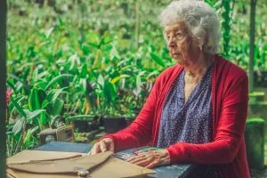 Mulheres rompem ciclos de violência no curta Orquidário Mulheres rompem ciclos de violência no curta Orquidário