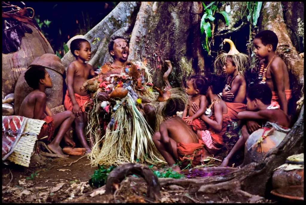 Sesc Glória: "Amazônia Groove", "Quilombo", "Betânia" e "Sonhar com Leões" entram em cartaz em agosto