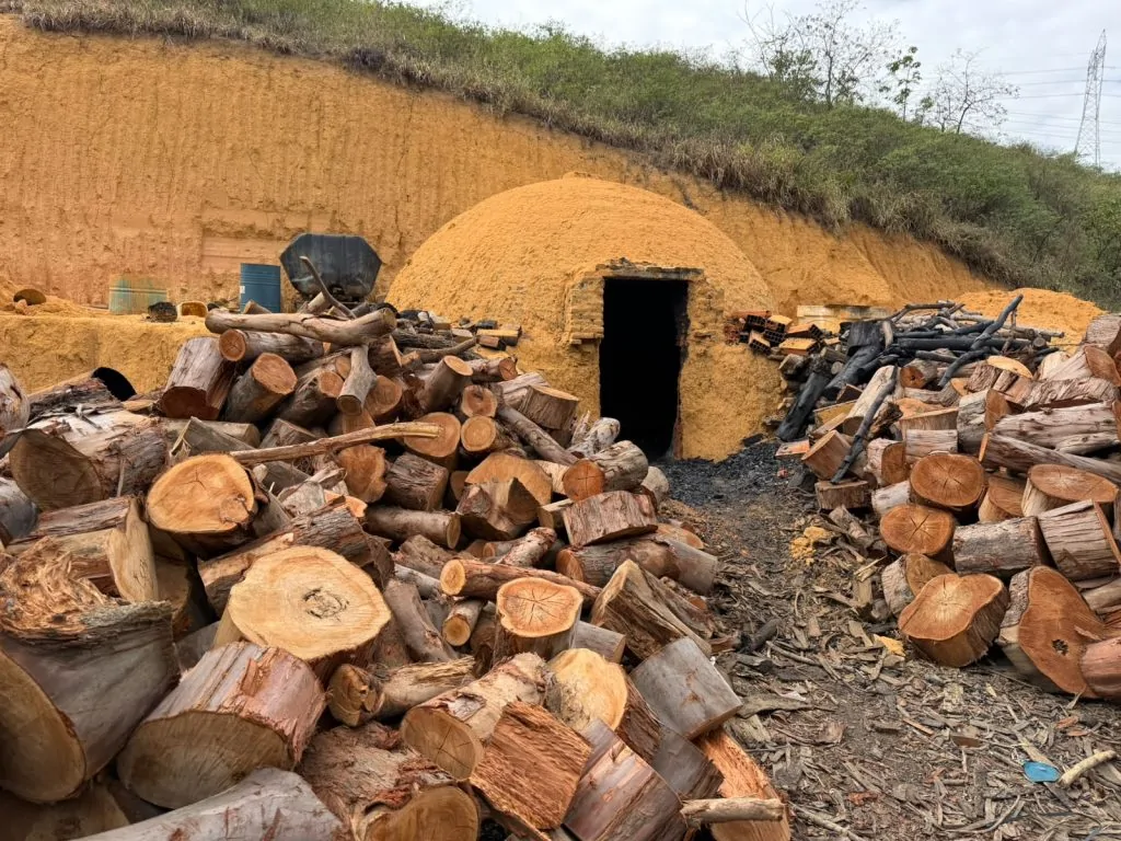 Denúncia revela carvoaria irregular funcionando em Cariacica