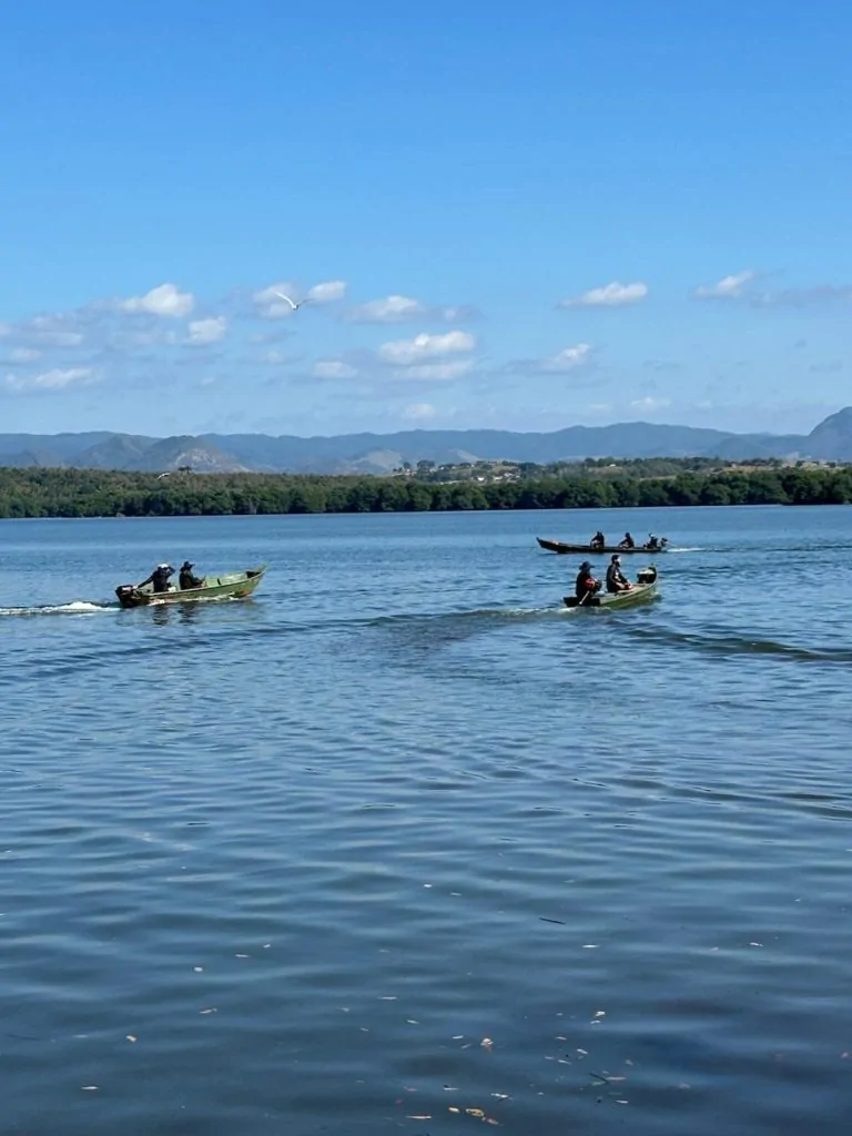 Meia tonelada de lixo é retirada em manguezal de Vitória durante mutirão