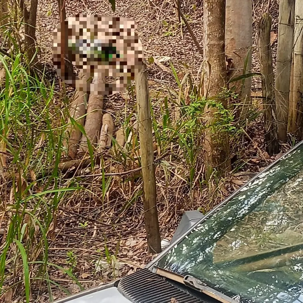 Homem é encontrado morto com marcas de tiros próximo a lagoa em Ibiraçu