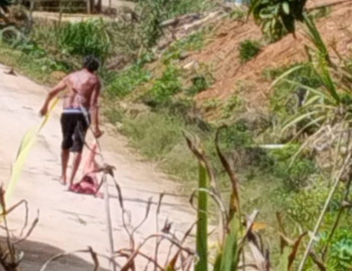 Cadela é arrastada e morta em Dores dio Rio Preto Cadela é arrastada e morta em Dores dio Rio Preto