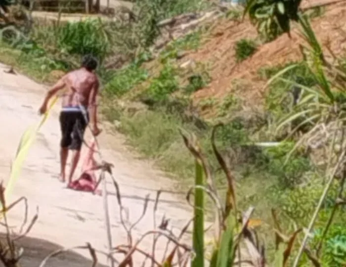 cachorro arrastado