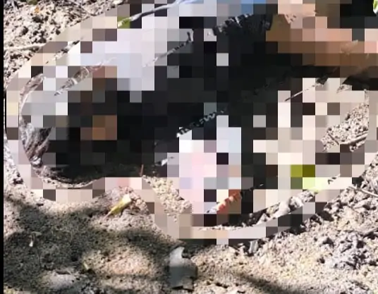 Dois corpos são encontrados em Cariacica; homem estava com as mãos amarradas Dois corpos são encontrados em Cariacica; homem estava com as mãos amarradas
