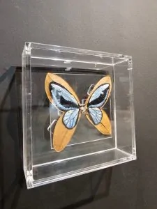 Ufes recebe evento gratuito de artes com exposição e performances em Vitória Ufes recebe evento gratuito de artes com exposição e performances em Vitória