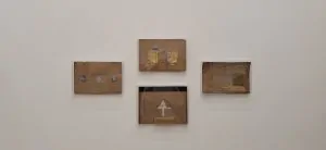 Organicidade material em Ana Paula Oliveira