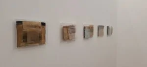 Organicidade material em Ana Paula Oliveira