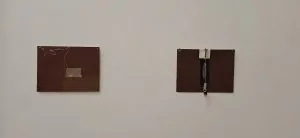Organicidade material em Ana Paula Oliveira