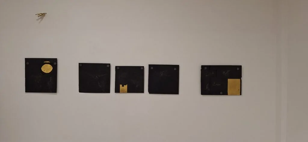 Organicidade material em Ana Paula Oliveira