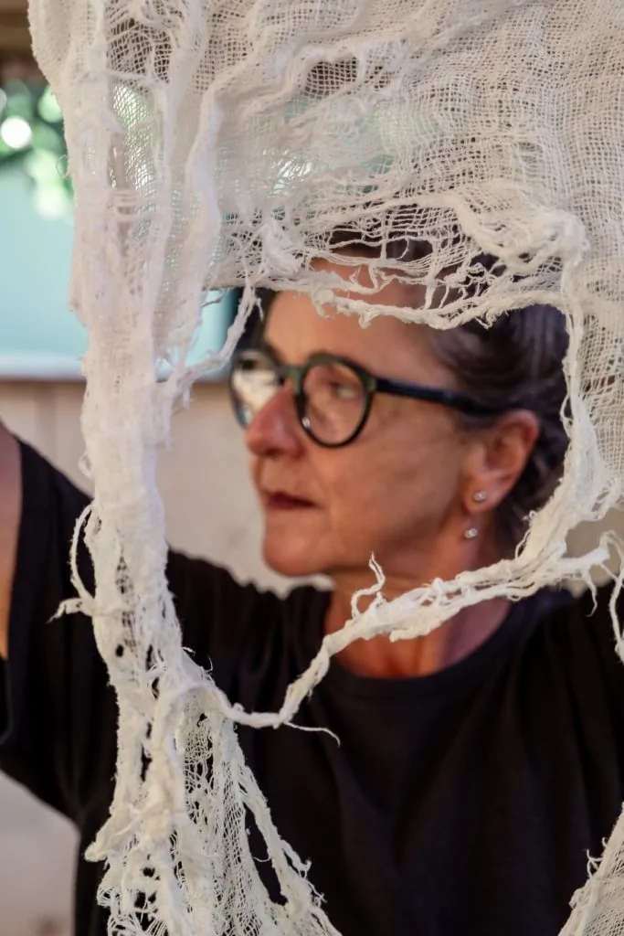 "Entre Tempo e Coisas": Rosana Paste celebra 40 anos de produção artística no MAES