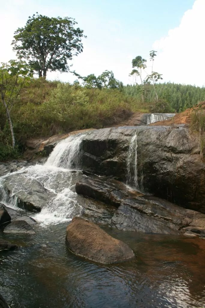 Entre lagoas, praias e Mata Atlântica: descubra os encantos de Linhares