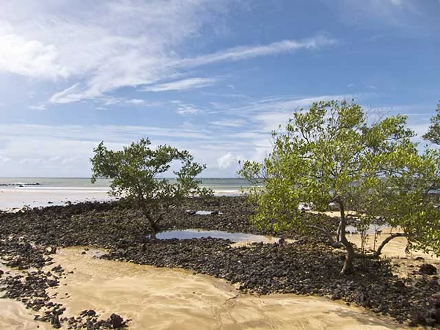 O que fazer em Aracruz: praias, cultura indígena e turismo em alta