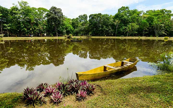 Entre lagoas, praias e Mata Atlântica: descubra os encantos de Linhares
