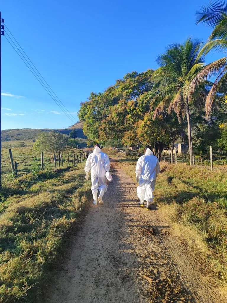 Febre maculosa: Mimoso do Sul investiga 15 casos e confirma duas mortes Febre maculosa: Mimoso do Sul investiga 15 casos e confirma duas mortes