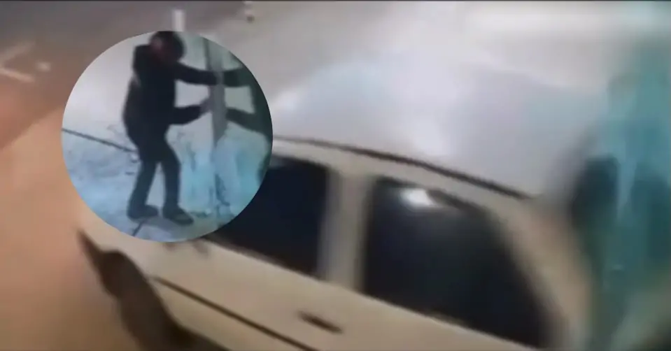 derruba vitrine loja carro