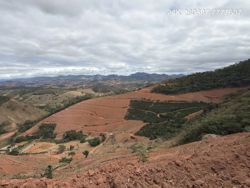 Operação contra desmatamento aplica R$ 656 mil em multas e embarga 80 hectares no ES