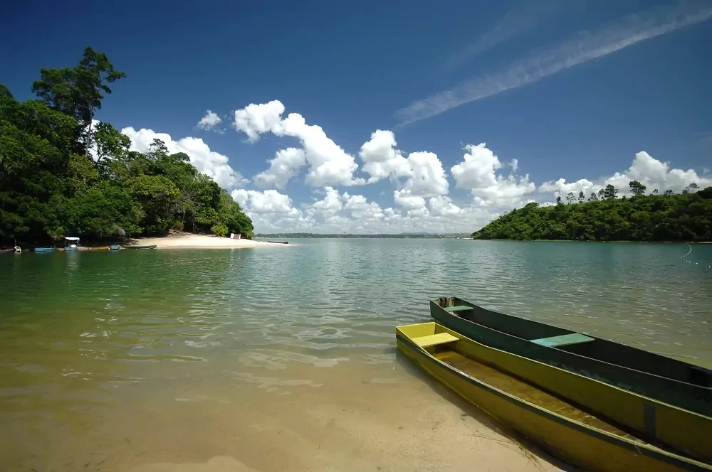Entre lagoas, praias e Mata Atlântica: descubra os encantos de Linhares