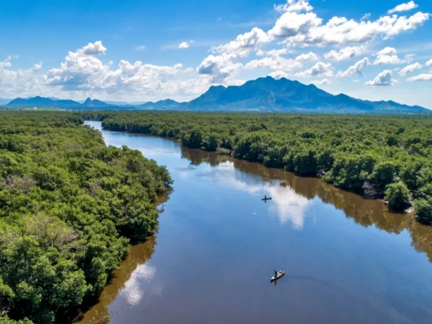 Fotos incríveis revelam raridades da natureza que encantam o Espírito Santo Fotos incríveis revelam raridades da natureza que encantam o Espírito Santo