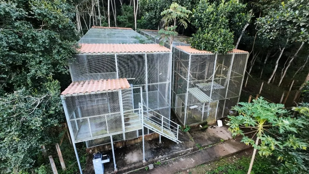 Estudo da UFV mapeia 22 espécies ameaçadas de extinção na Bacia do Rio Doce e motiva leis municipais