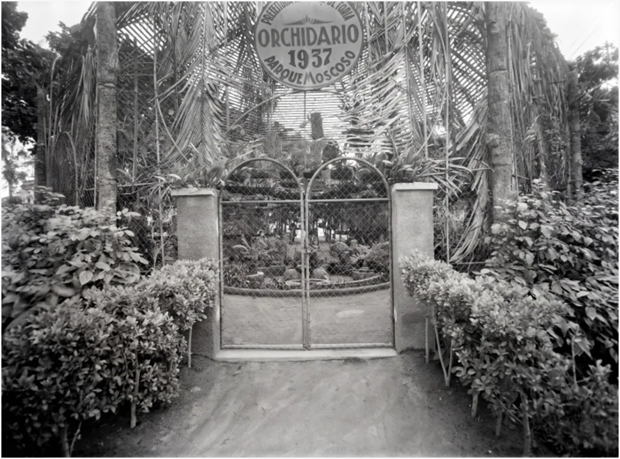 Como era Vitória há 100 anos? Exposição resgata imagens raras da capital antes dos grandes aterros