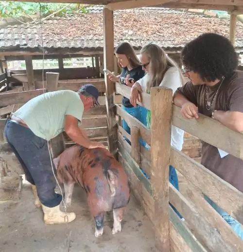 fazenda experimental em alegre