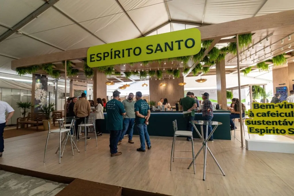 Agronegócio Capixaba: com US$ 296,6 mi em exportações, pimenta-do-reino mira agregar valor e ampliar mercado global