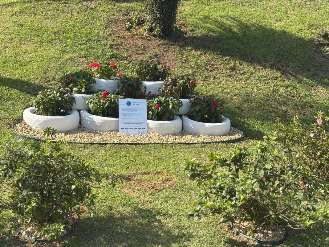 memorial de doação de orgãos