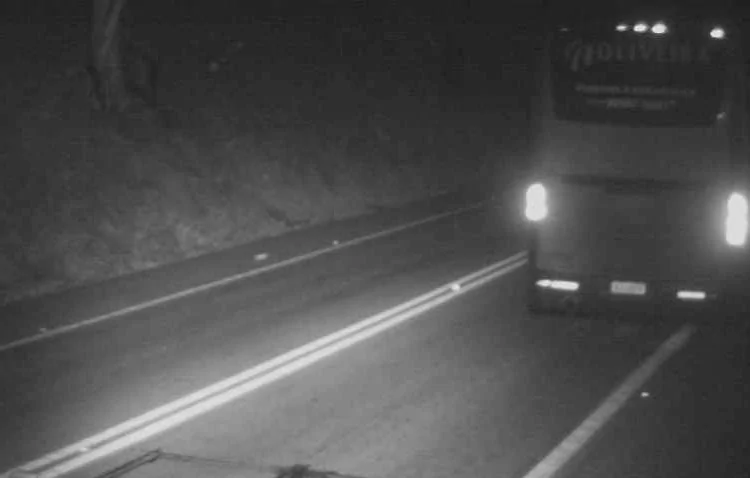 “Não deveria nem ter saído da garagem”: ônibus que tombou no ES tinha falhas nos freios, aponta perícia
