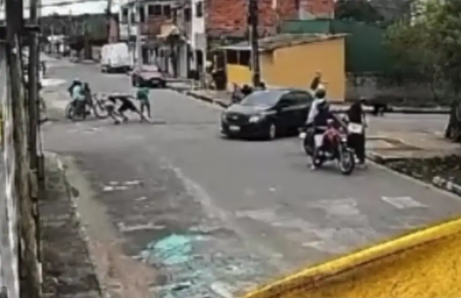 Reprodução