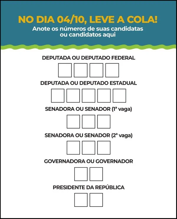 Confira o passo a passo, locais e regras para não perder o voto neste domingo (4)