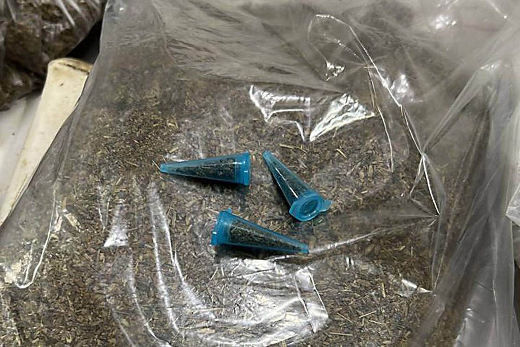 Fentanil 'Invisível': avanço no ES alerta autoridades