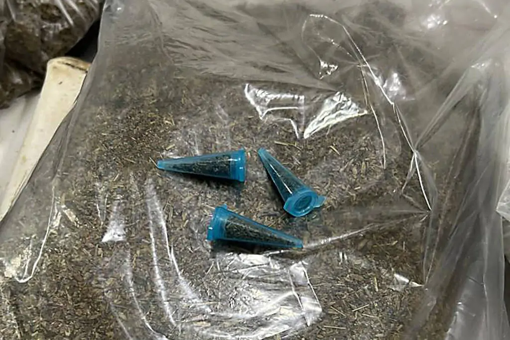 Fentanil 'Invisível': avanço no ES alerta autoridades