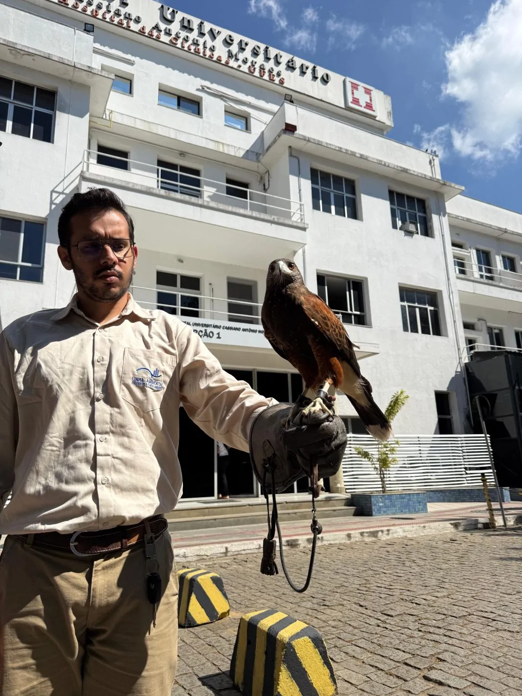 hospital adota gaviao