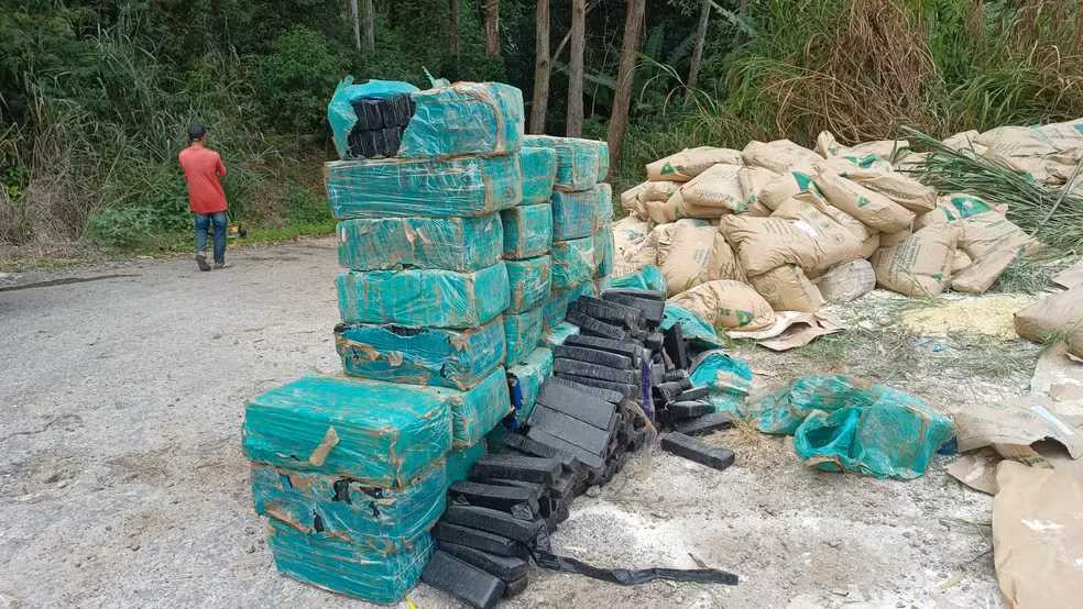 Condenados por transportar 880 quilos de maconha ganham liberdade após erro em sentença