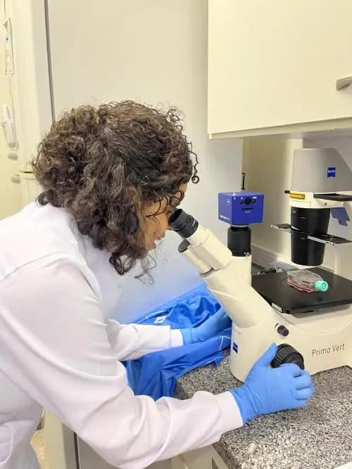 Pesquisa da Ufes revela como microplásticos afetam células mamárias